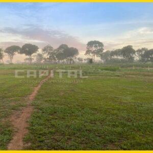 Tierras Altas y Planas para agricultura o ganadería en venta