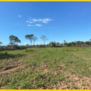 Tierras Altas y Planas para agricultura o ganadería en venta
